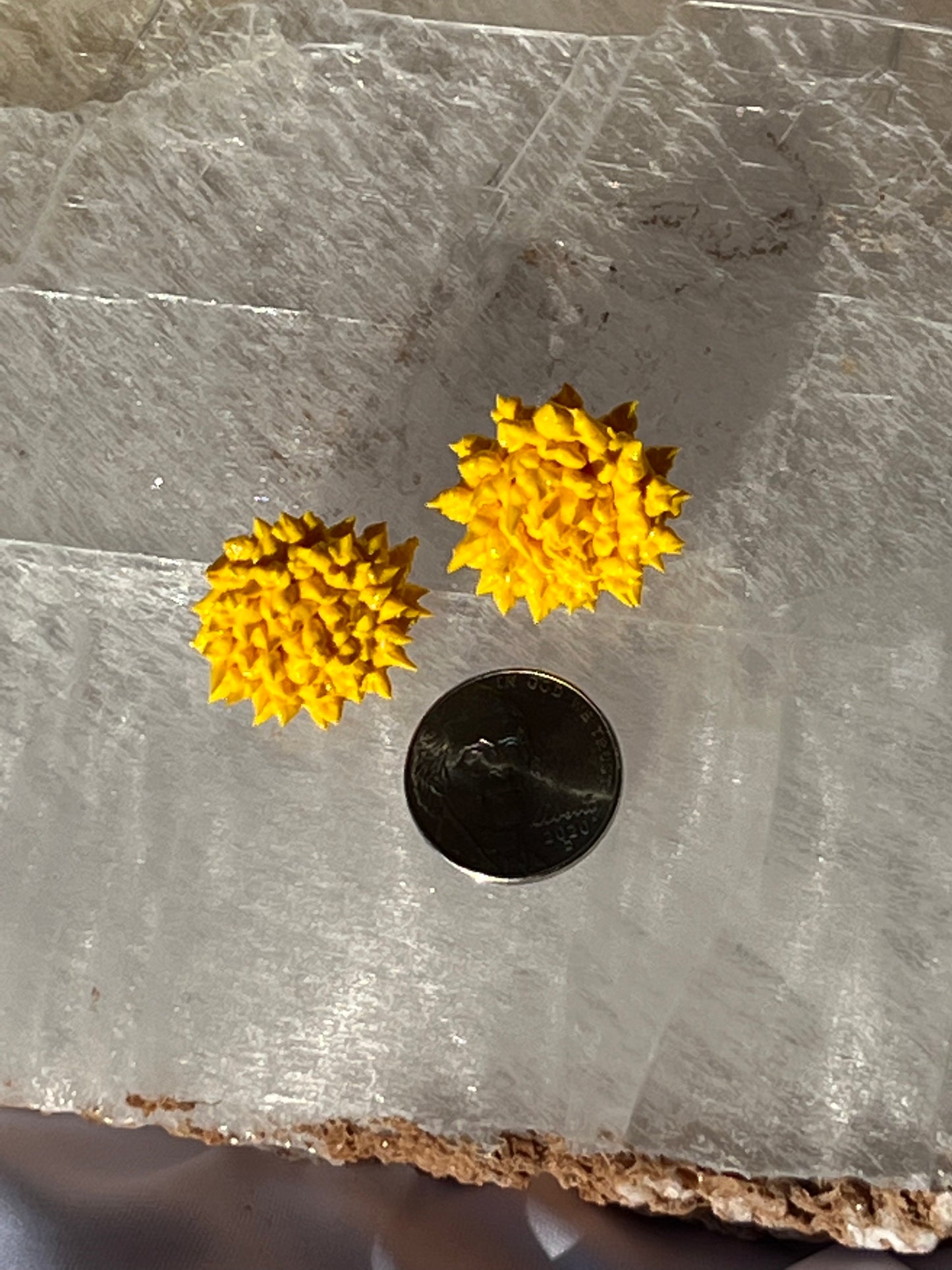 Itty bitty Dandelion Studs